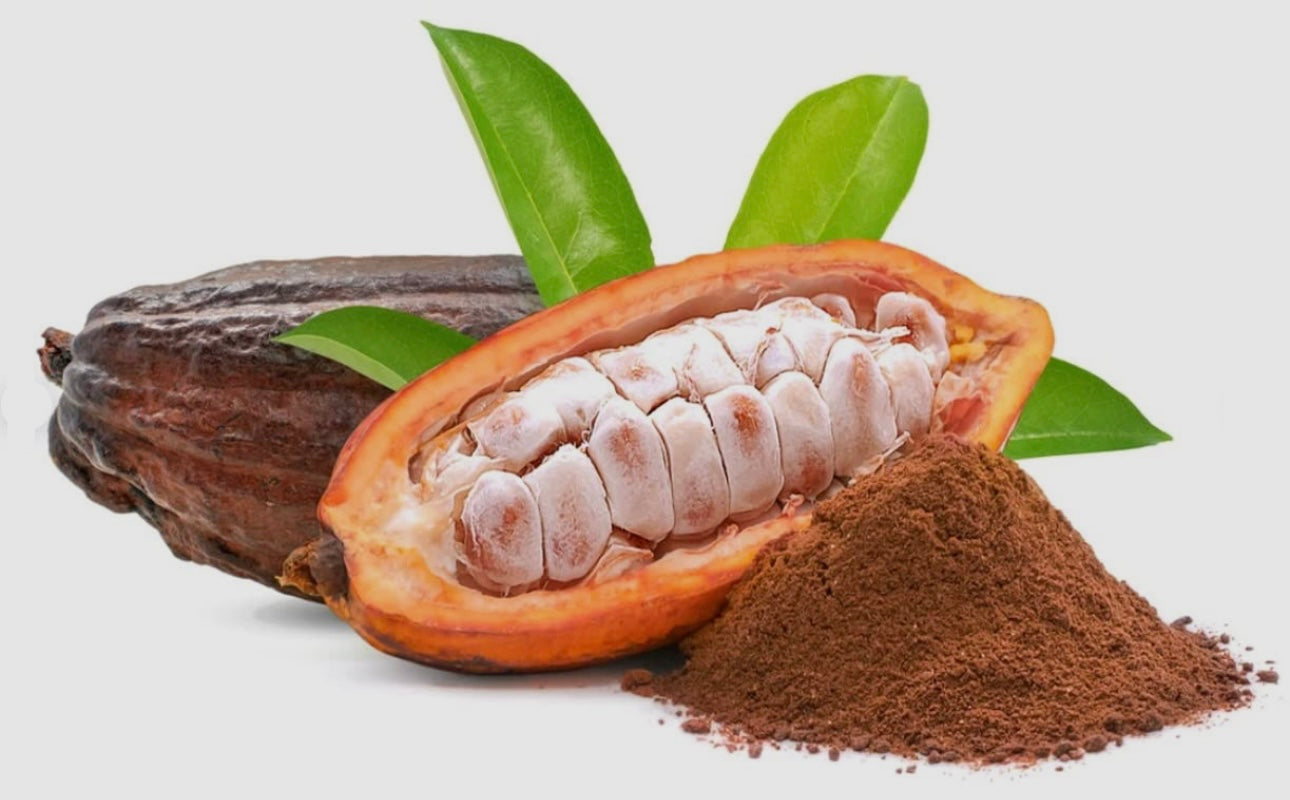 Raw Cocoa Seeds